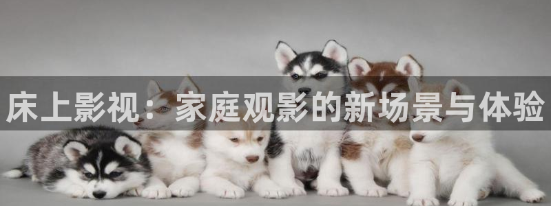 yy4480午夜私人影院