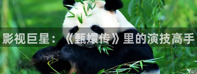 yyy4480首播影院手机电影