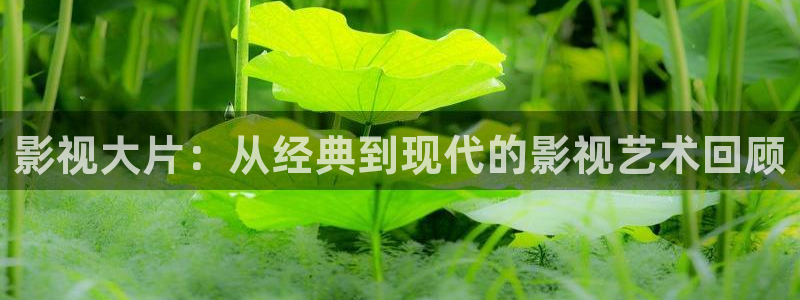 神马影视大全在线观看yy4480